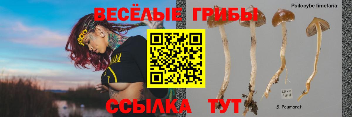 Псилоцибиновые грибы прущие грибы  Вход с VPN  Псилоцибиновые грибы MAGIC MUSHROOMS  Кунгур 